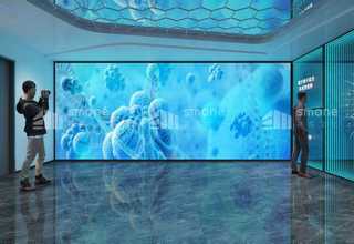 徐汇区一站式撸猫公司