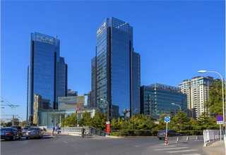 河北新型木片破碎机多少钱