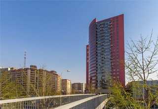 绍兴微醺麦力士新派红曲酒作用