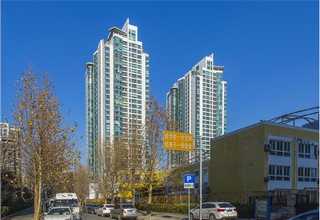 泰州瓣式移树机生产厂