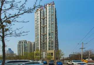 河南叶底盘茗标培训